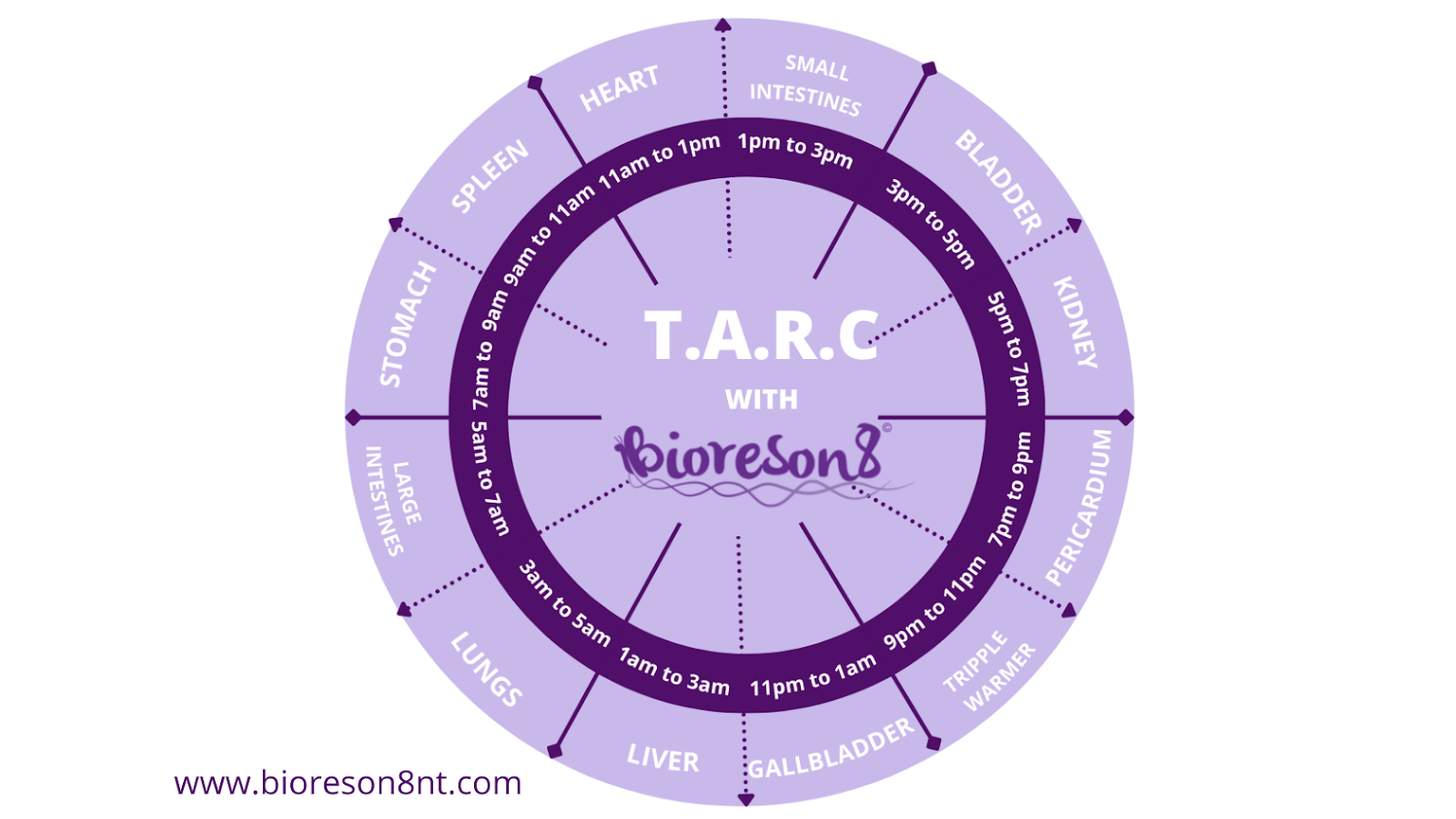 "In every tap, a story unfolds; EFT is the language of the soul seeking balance."