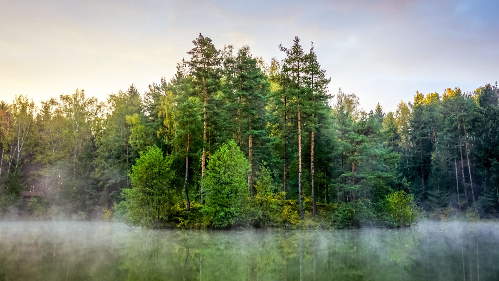 aromatherapy, essential oils, EFT, pain, bioresonance, breathwork, Grounding, Earthing, Forest Bathing