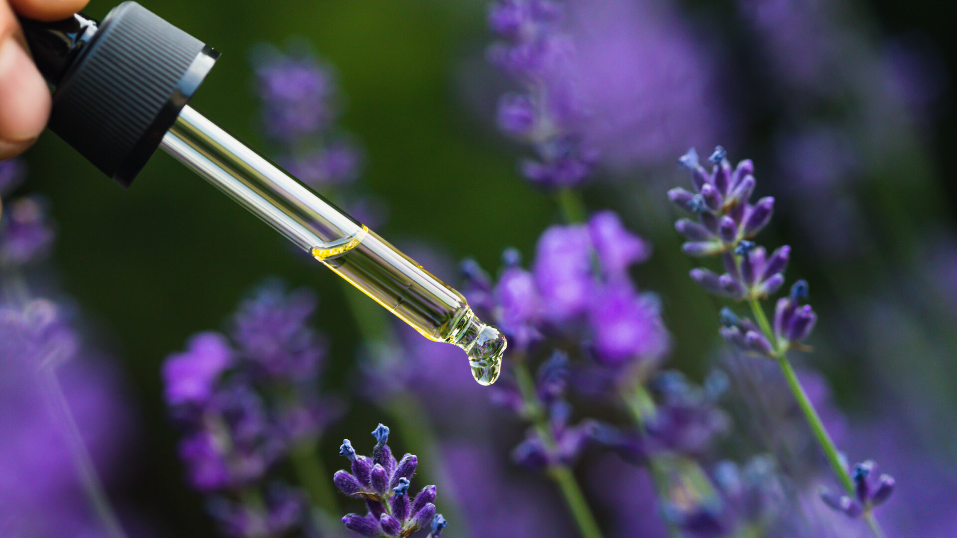 aromatherapy