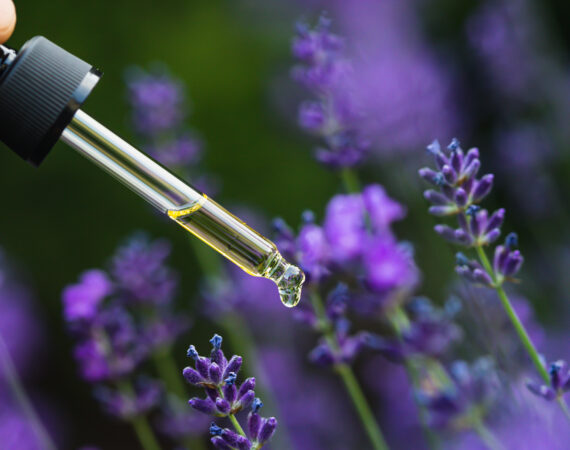 aromatherapy