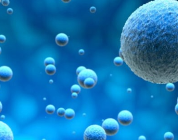 Bioresonance, Immune support