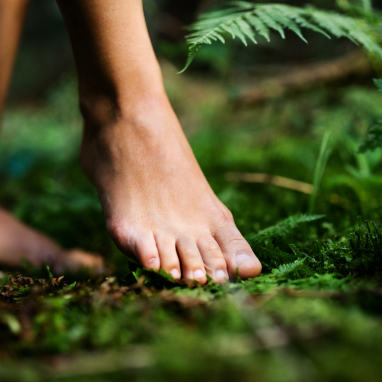 Grounding, Earthing, Forest Bathing, carcadian rhythms
