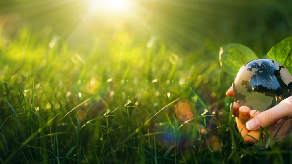 Grounding, Earthing, Forest Bathing