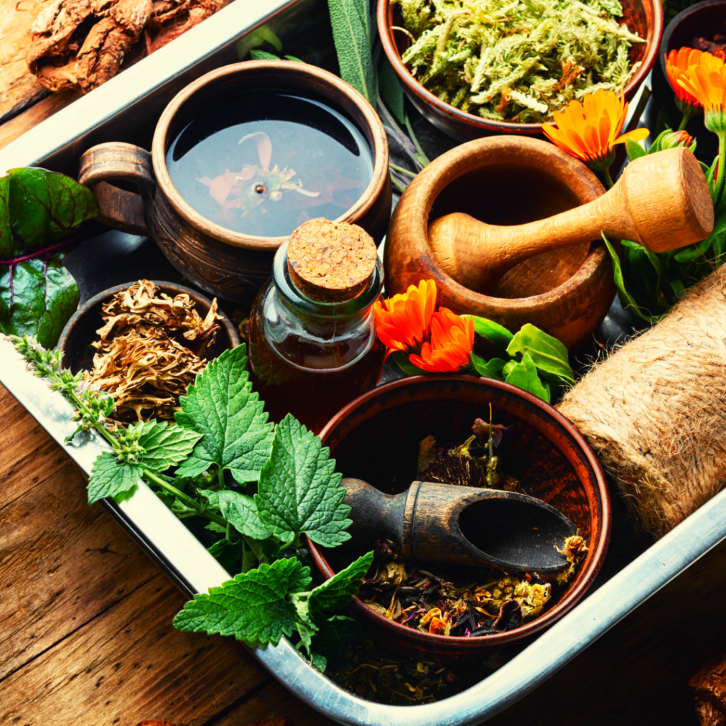 aromatherapy, essential oils, EFT, pain, bioresonance, breathwork, forest bathing, herbs & minerals