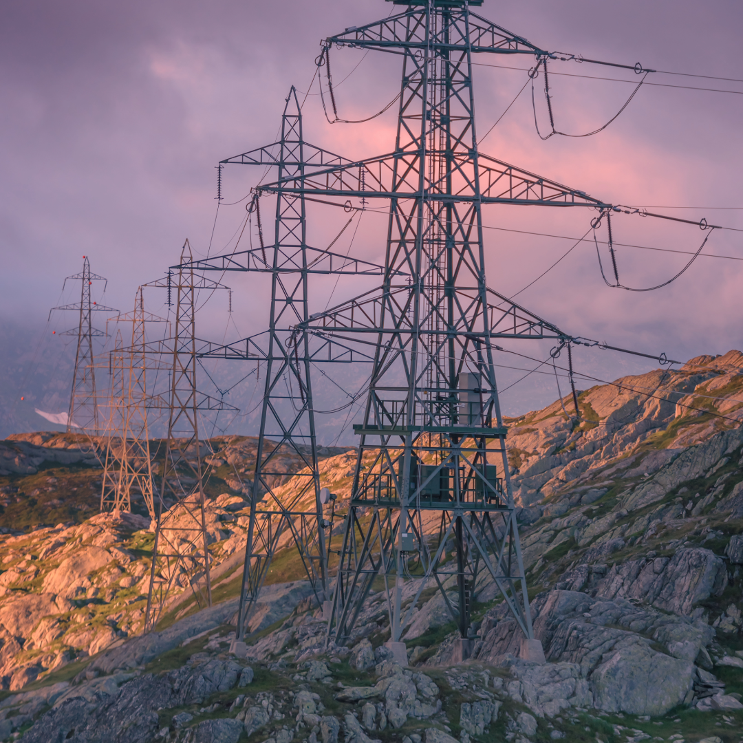 EMF, bioresonance, geopathic stress, EMF Mitigation, EMFs