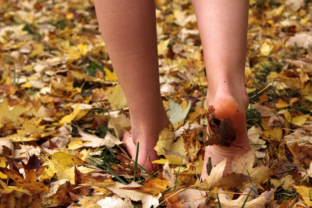 Grounding, Earthing, Forest Bathing