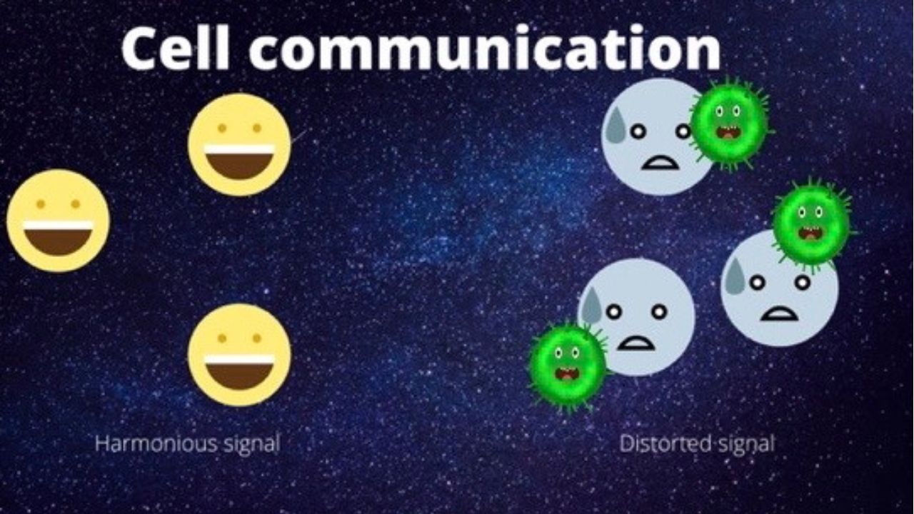 cell-communication-jpg.jpg