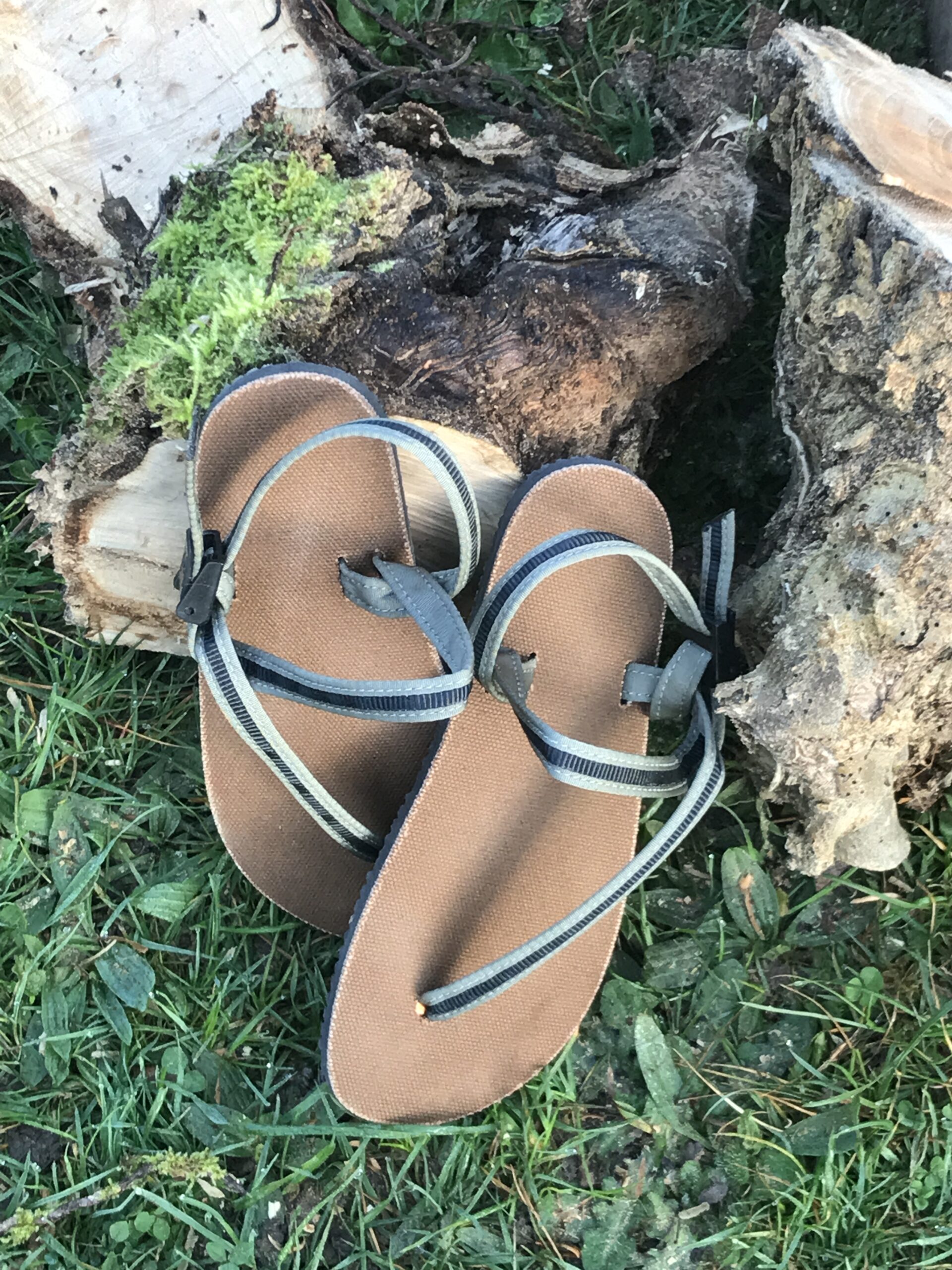 Earthing Shoes
