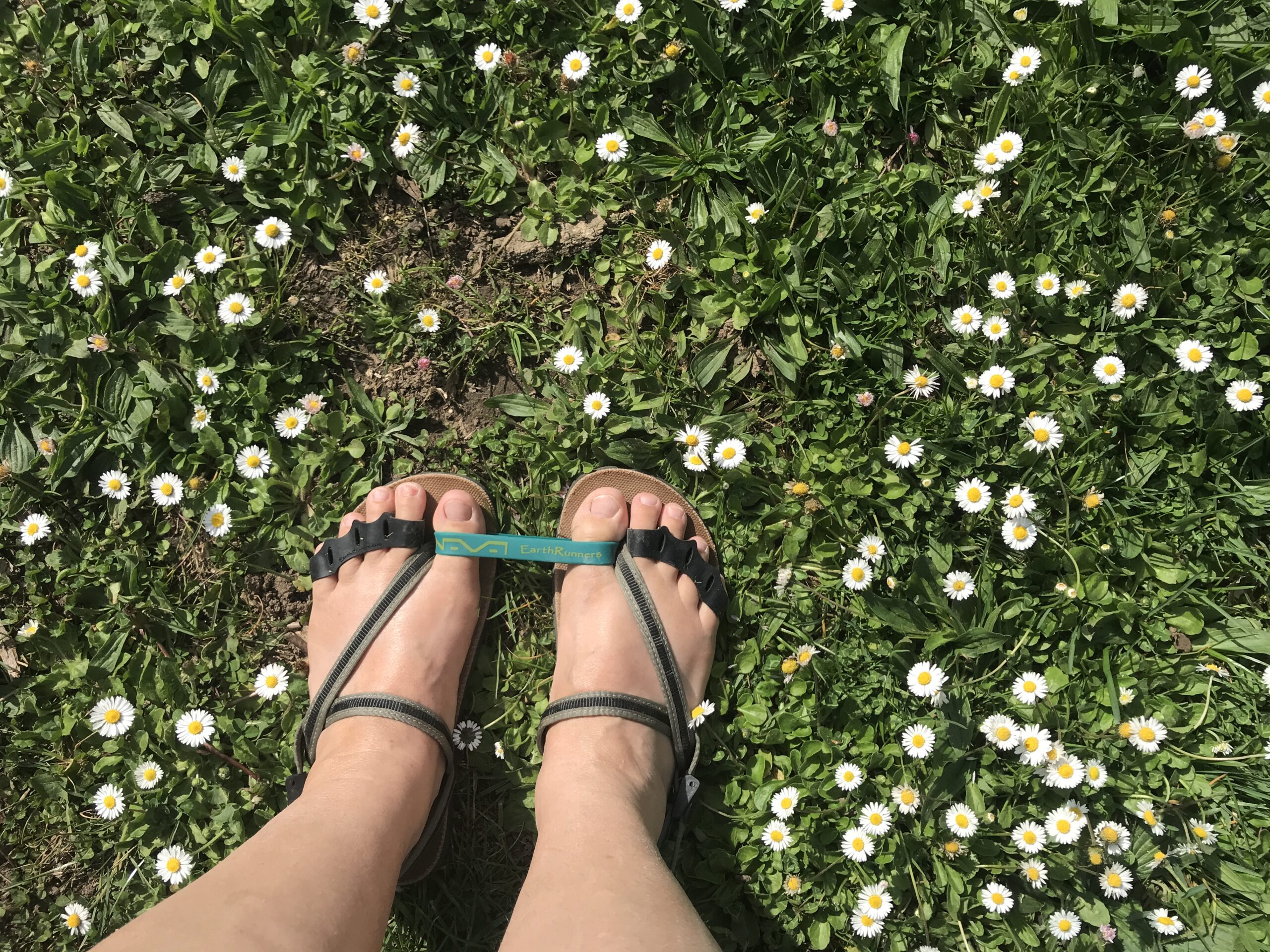 Earthing Shoes - Image 4